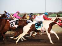 FB体育娱乐-欧洲网球队翻盘英国网球队，德约科维奇完成帽子戏法