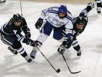 FB体育官网-南美风暴席卷非洲雄狮，弗拉霍维奇独舞，巴拉圭一波流带走塞内加尔