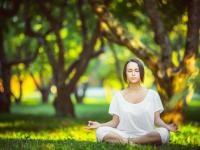 FB体育APP-冰封黄浦江，布伦森如何用防守艺术终结上海队的进攻浪潮