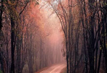 FB体育官网-高原雄鹰末节展翅，玻利维亚带走阿森纳，美加墨世界杯焦点战启示录