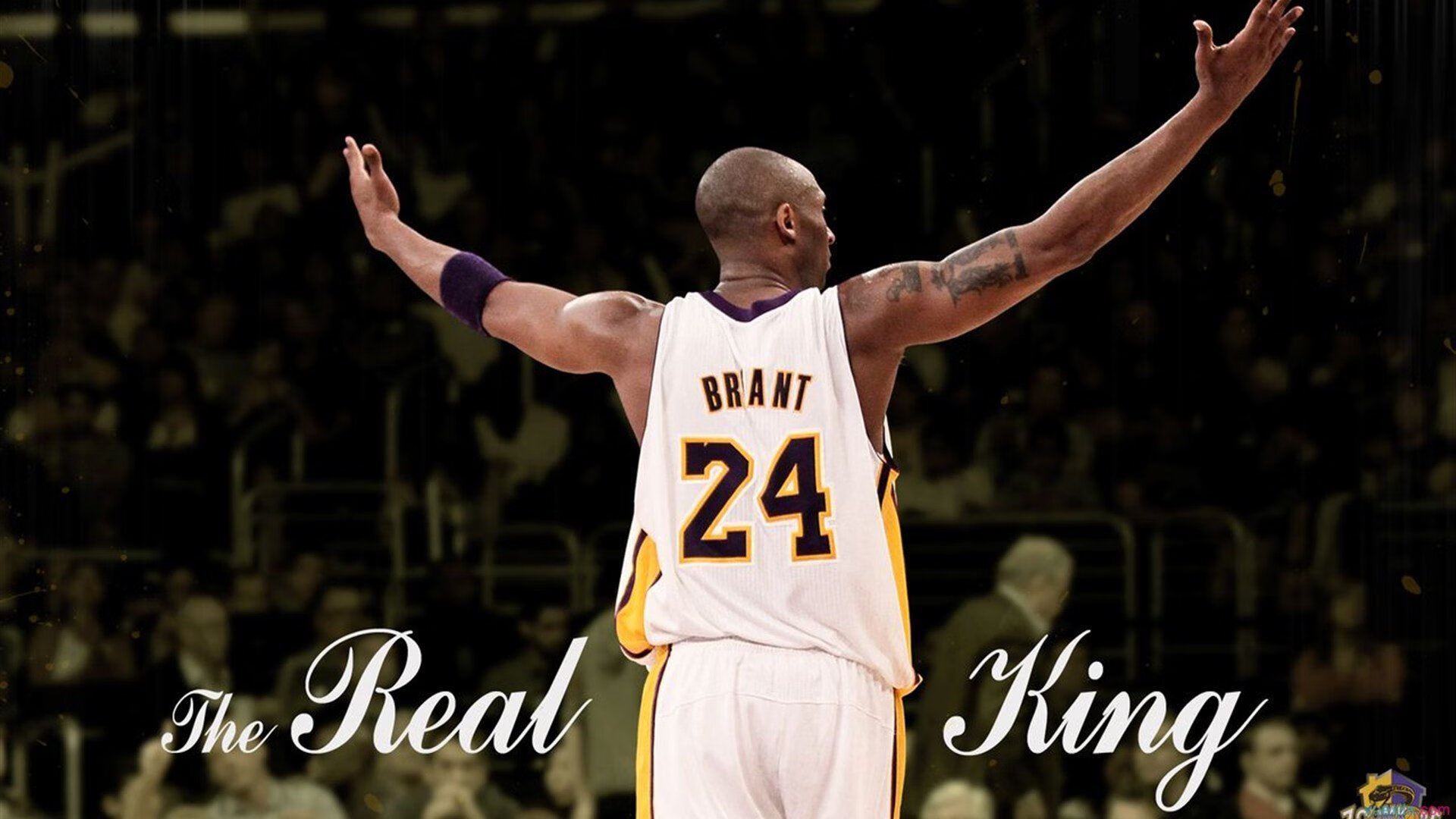 当华南虎遇上南海岸烈焰，恩比德火热状态下的跨洋篮球对话